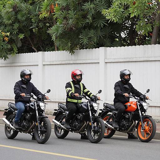 Three Bikers on a Scenic Road