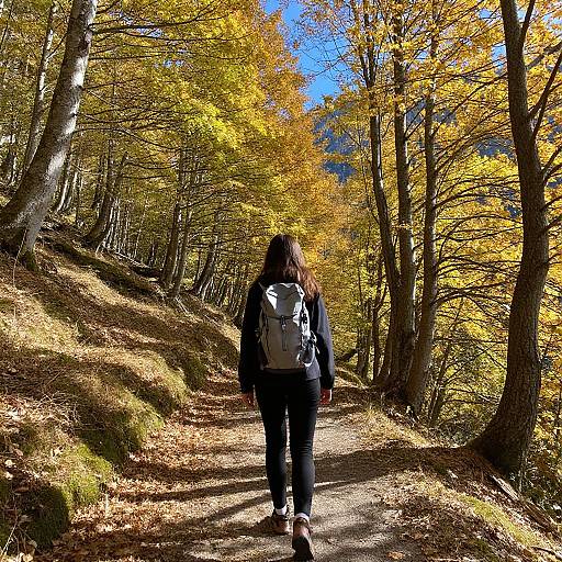 Young Woman Hiking in Autumn Forest