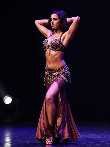 Ornate Belly Dance Profile Portrait