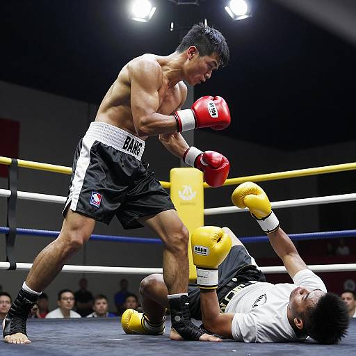 Dynamic Boxing Match: Intense Action Scene