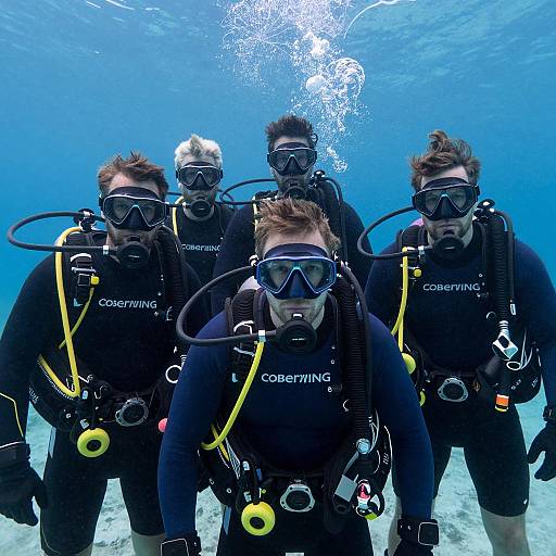 Serious Divers in Underwater Environment