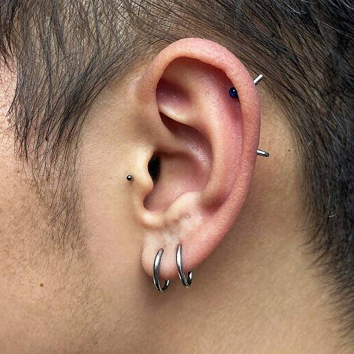 Chaotic Punk Ear Piercings Close-Up