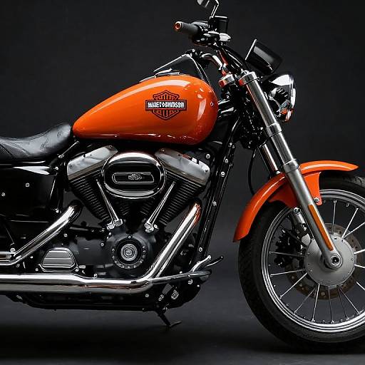Vibrant Harley-Davidson Motorcycle Showcase