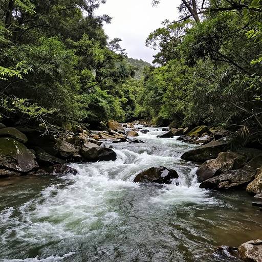 Time-Reversing River with Memories