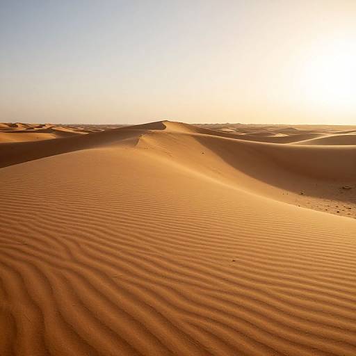 Photograph of a golden desert landscape at sunset, featuring rippled sand dunes with soft shadows, under a clear, bright sky.