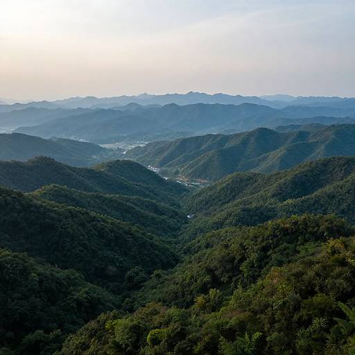 Photograph of a vast mountain range with dense green forest, multiple layers of hills fading into the distance under a clear blue sky.