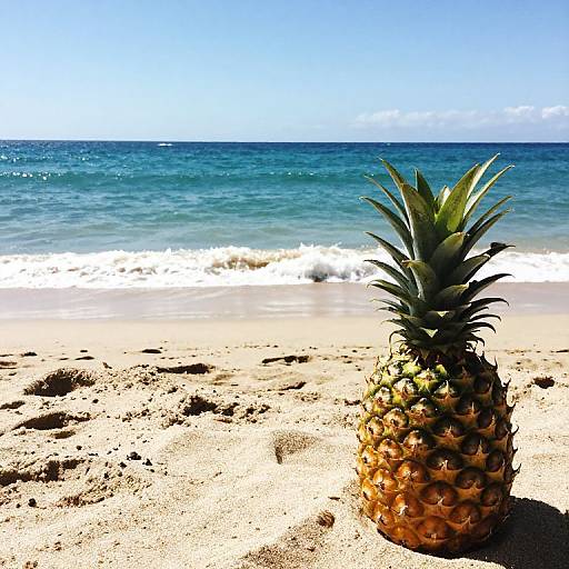 Photograph of a pineapple on a sandy beach with clear blue ocean waves and a bright blue sky in the background.