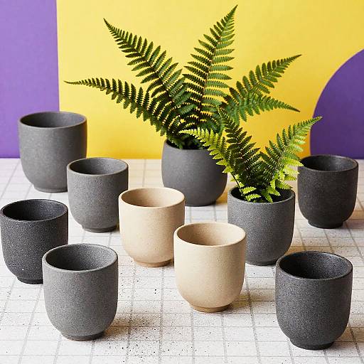 Modern Stoneware Cups with Ferns