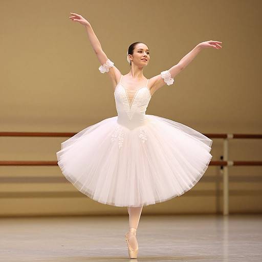 Elegant Ballet Dancer in Tutu Pose