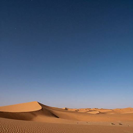 Photograph of a desert landscape with golden sand dunes under a clear, deep blue sky. Starry night subtly visible.