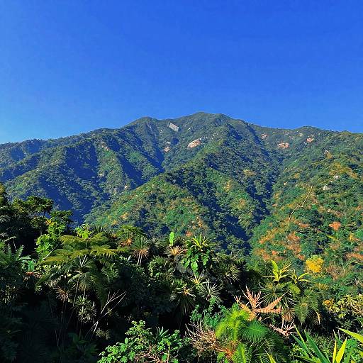 Bold Digital Landscape with Trees