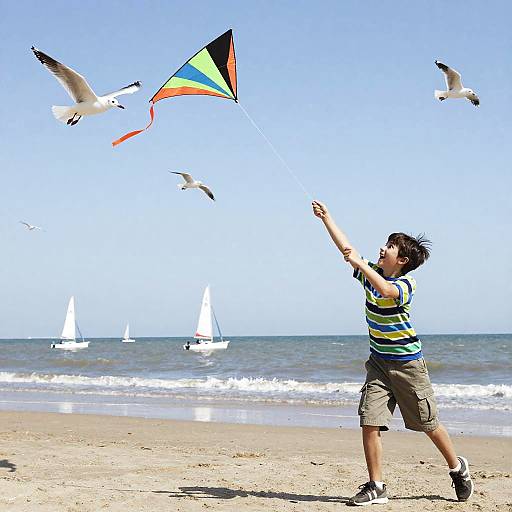 Boy Flying Kite on Windy Beach