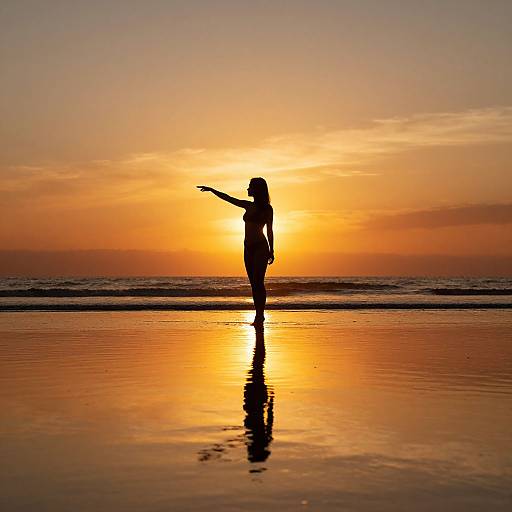 Graceful Woman Silhouette at Sunset