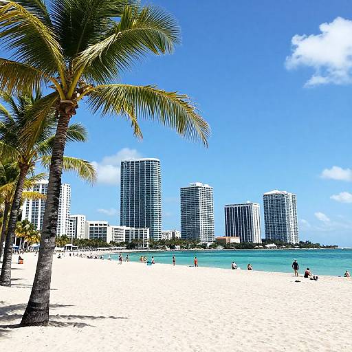 Tropical Miami Beach Cityscape