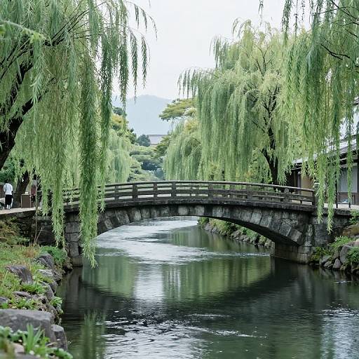 Serene Willow River at Kinosaki Onsen