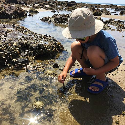 Boy Exploring Beach Tide Pools