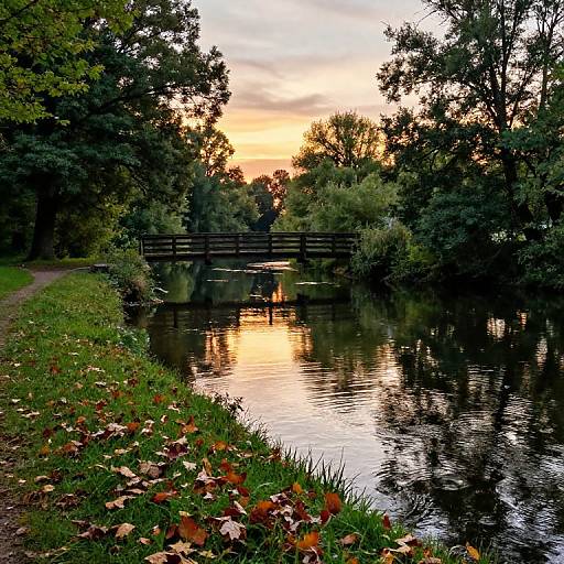 Tranquil Riverdale Sunset Scene