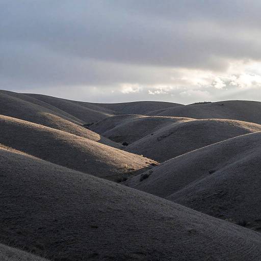 Serene Gray Hills Under Overcast Sky