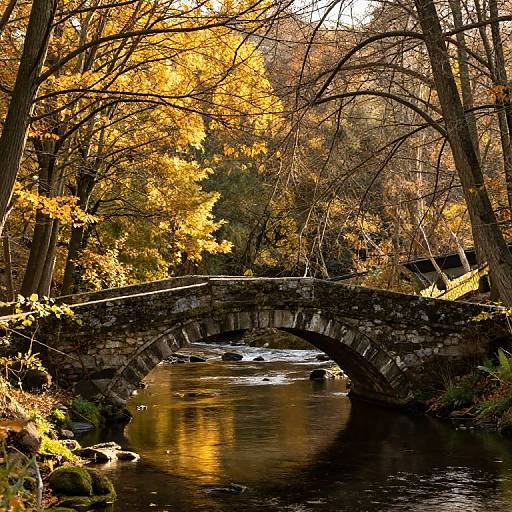 Ancient Stone Bridge in Autumn Forest