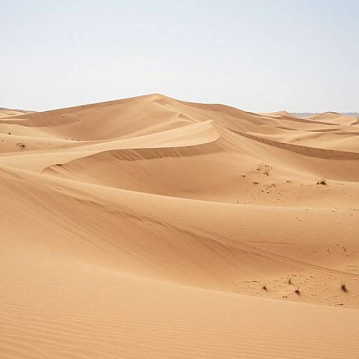 Photograph of a vast, sunlit desert with smooth, undulating sand dunes under a clear, bright blue sky.