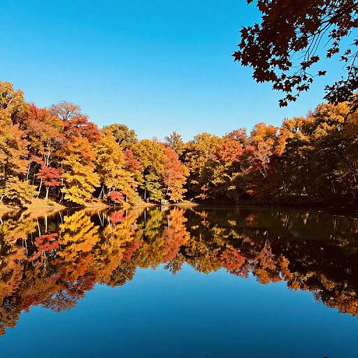 Serene Autumn Lake Reflection