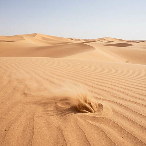 Memory Sand Desert's Visual Reenactments