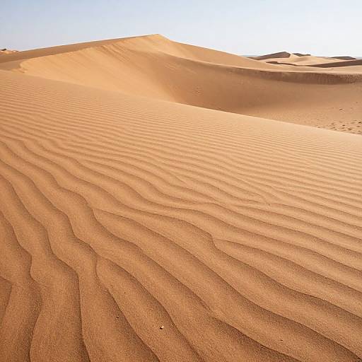Surreal Desert Dunes of Time