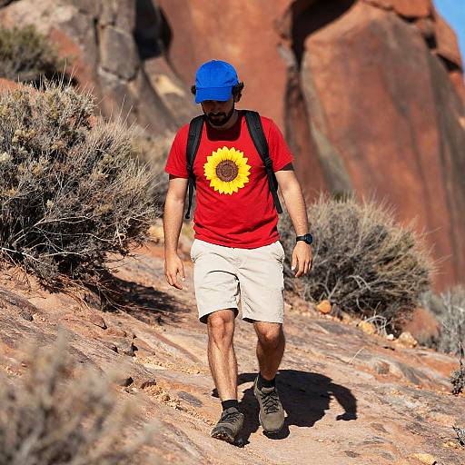 Hiker Conquering Rocky Terrain in Sunlight