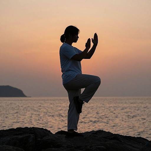 Silhouette Martial Arts Pose at Sunset