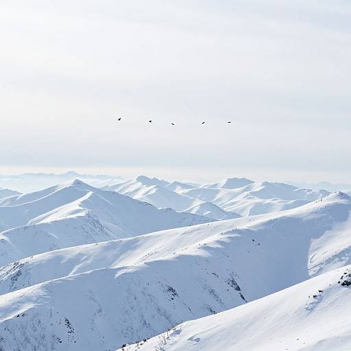 Ethereal Snowy Peaks with Soaring Birds