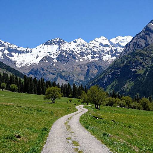 Vibrant Mountainous Landscape Photography