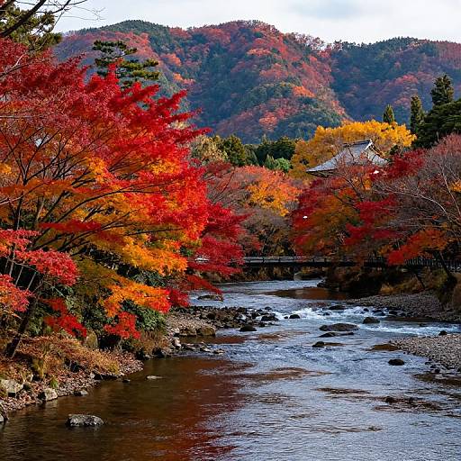 Arashiyama Autumn Mountain River