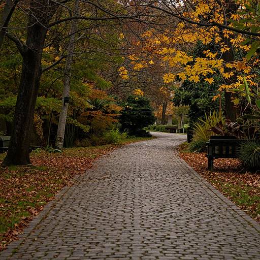 Photograph of a winding cobblestone path in a park during autumn, surrounded by trees with orange-yellow leaves and scattered fallen leaves.