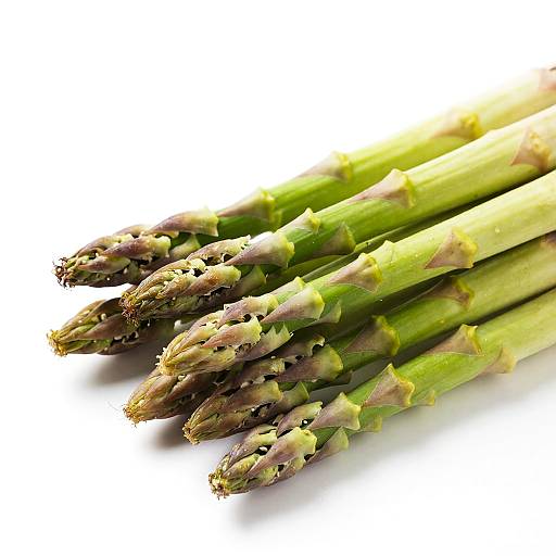 Fresh Green Asparagus Spears