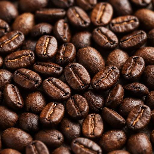 Close-Up of Freshly Roasted Coffee Beans