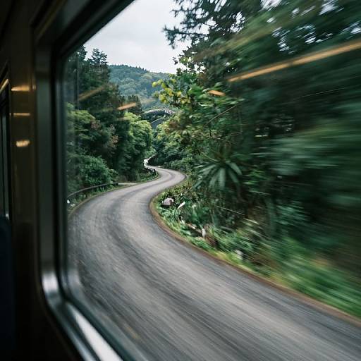 Photograph of a winding, wet forest road viewed from inside a moving train, with blurred greenery and overcast sky in the background.