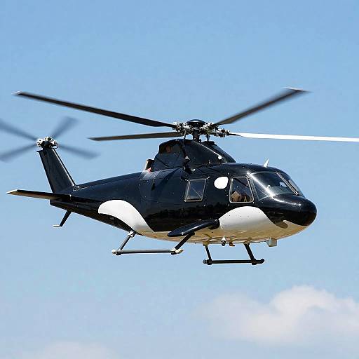 Orca-Inspired Drone in Flight