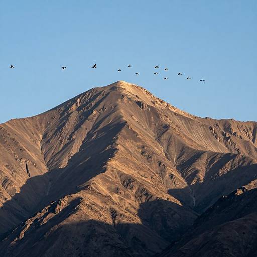 Photograph of a sunlit, rugged mountain peak with shadows, topped by a flock of birds flying against a clear blue sky.