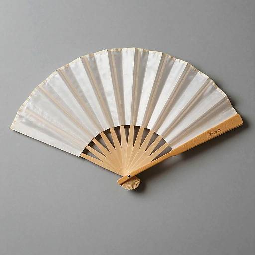 Minimalist Silk Fan Portrait