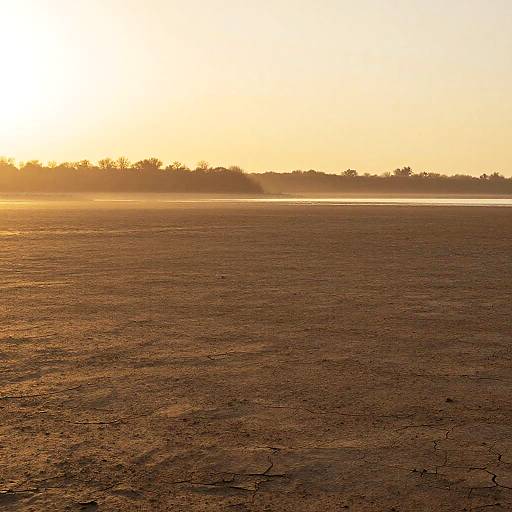 Surreal Sandy Expanses at Golden Hour