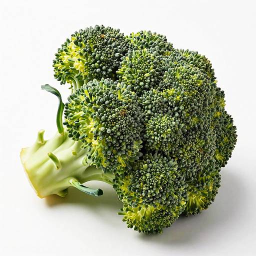 High-Quality Overhead Broccoli Photo