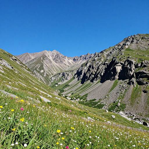 Photograph of a vibrant mountain landscape with clear blue sky, rocky peaks, green hills, and a meadow filled with yellow and white wildflowers.