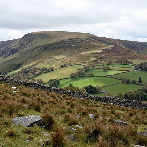 Brecon Beacons Scenic Landscape