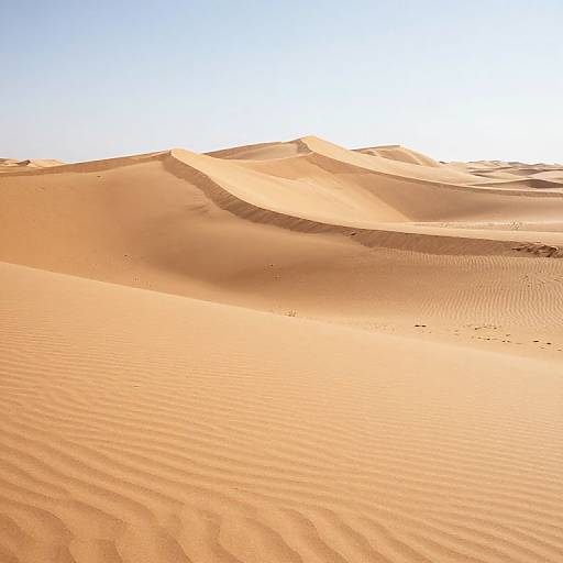Photograph of sunlit, rippled sand dunes with warm golden hues and soft shadows under a clear, bright blue sky.