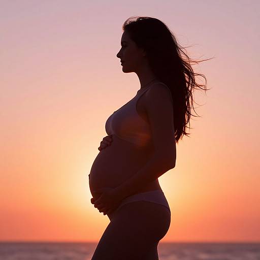 Silhouetted pregnant woman in bikini against vibrant sunset, ocean in background. Photo highlights her profile, long hair, and round belly.