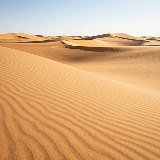 Photograph of a desert landscape with golden-orange sand dunes, sunlight casting rippled shadows, and a clear blue sky overhead.