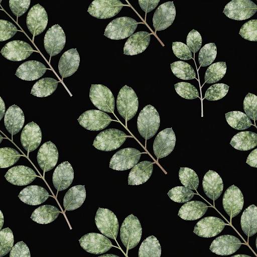 Elegant Green Leaves on Black Background