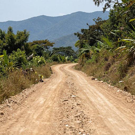 Photograph of a winding, gravel road leading through lush, green foliage to distant, blue-hued mountains under a clear sky.