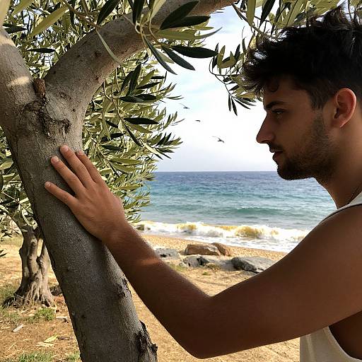 Intimate Coastal Olive Grove Scene