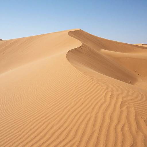 Desert Dunes of Truth and Lies